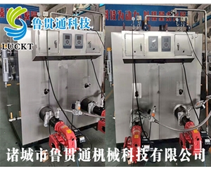 生物質(zhì)蒸汽發(fā)生器